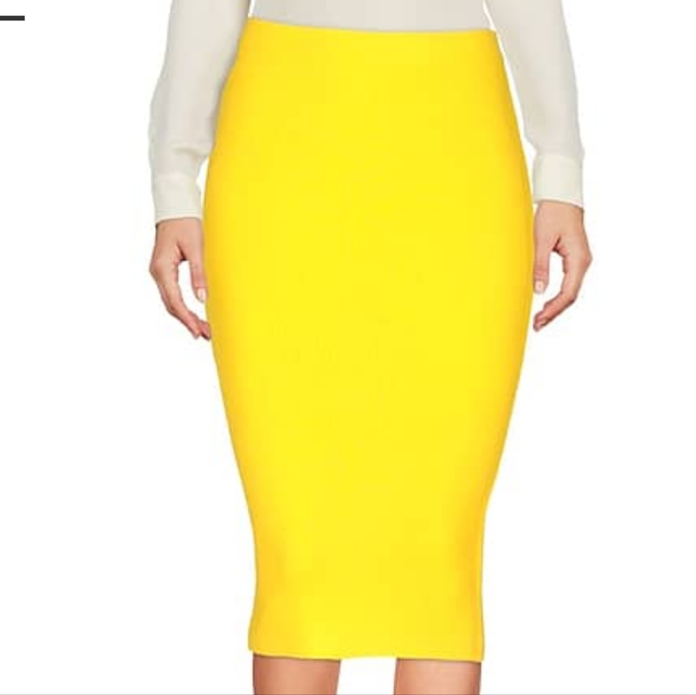 Pinko Pencil Skirt